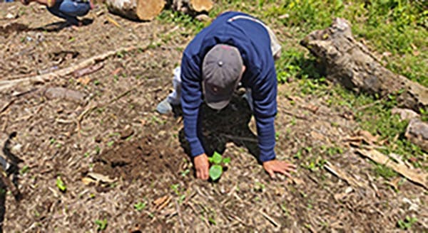 Proyecto-de-plantas-de-balsa-impulsa-la-reactivacion-economica